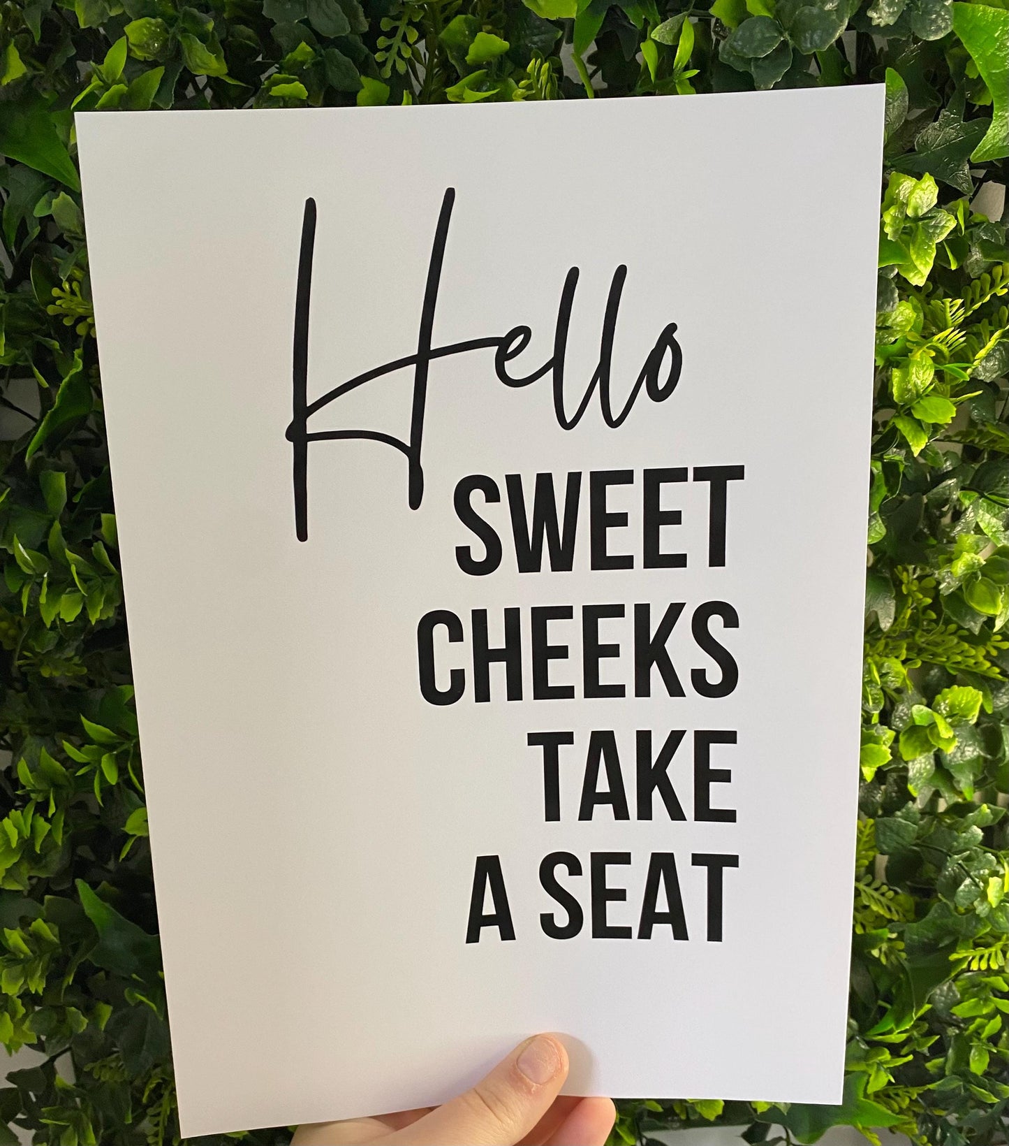 Set Of 3 A4?A3 Bathroom Cheeky Humour Prints