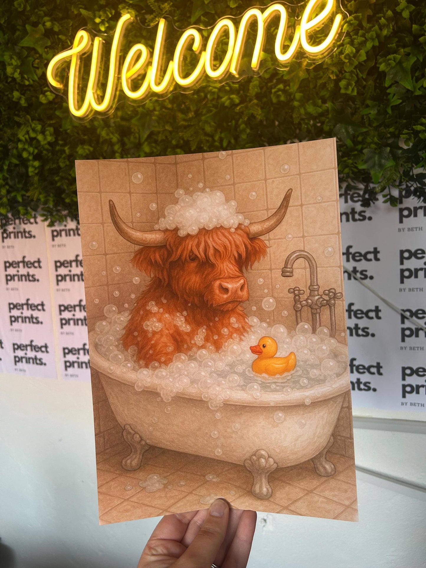 Set of 3 A4|A3 Highland Cow Funny Bathroom Prints