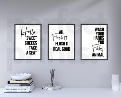 Set Of 3 A4?A3 Bathroom Cheeky Humour Prints