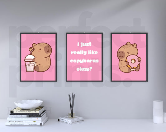 Set of 3 A4|A3 Pink Capybara Cute Bedroom Prints