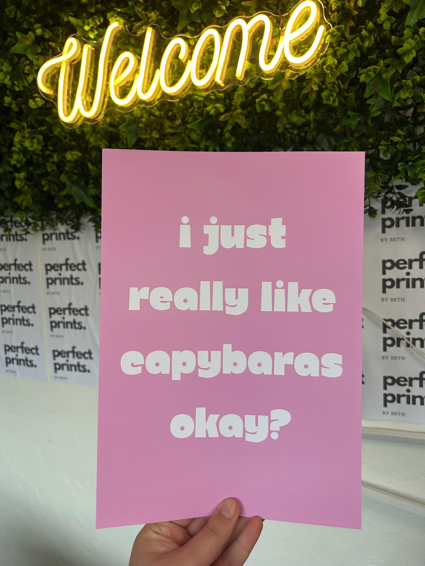 Set of 3 A4|A3 Pink Capybara Cute Bedroom Prints