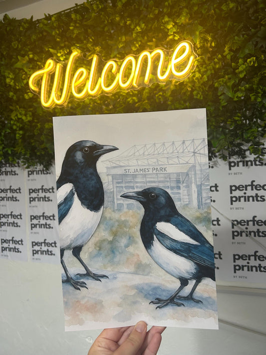 A4|A3 Newcastle Magpie St James Park Stadium Print
