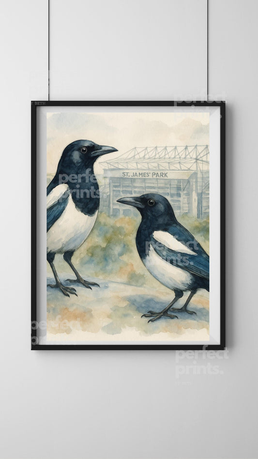A4|A3 Newcastle Magpie St James Park Stadium Print