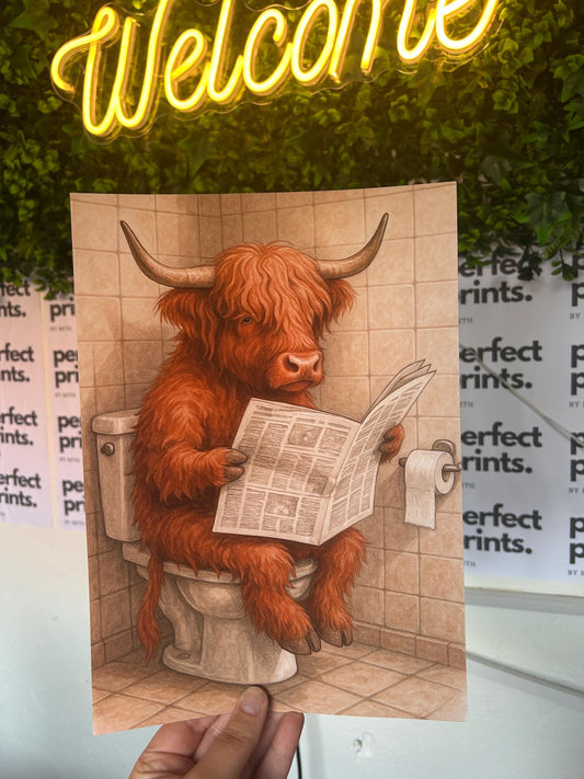 Set of 3 A4|A3 Highland Cow Funny Bathroom Prints